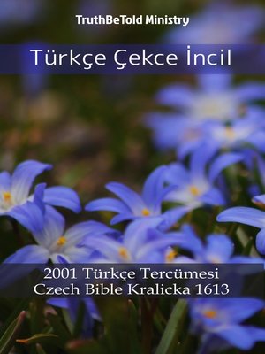 cover image of Türkçe Çekce İncil